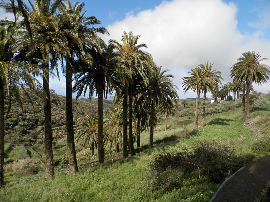 Wanderung von Arure nach  El Cercado, Calera
